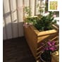 Isolerte blomsterkasser Blomsterkasseriet. Bunndekkende roser.jpg