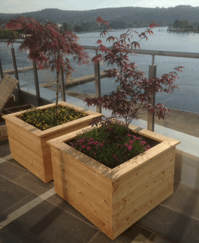 Isolerte blomsterkasser i sibirsk lerk plantekasser blomsterkasse plantekasse terrassekasse vintergrønt rhododendron terrasse takterrasse uterom Bloms