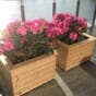 Isolerte blomsterkasser i sibirsk lerk plantekasser plantekasse terrassekasse vintergrønt rhododendron terrasse takterrasse Blomsterkasseriet 33.jpg