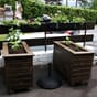 Isolerte blomsterkasser imp.furu Behandlet. Georginer Blomsterkasseriet brunbeiset plantekasser blomster uterom plantekasse store 2.jpg