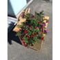 Isolerte blomsterkasser impregnert furu 50x50x60cm LBH store plantekasser.JPG
