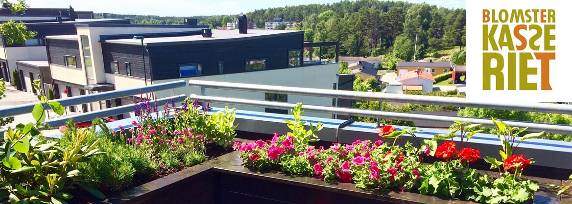 Isolerte blomsterkasser impregnert furu blomsterkasseriet plantekasser plantekasse terrasse blomster.jpg