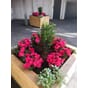 Sto isolert blomsterkasse sibirsk lerk blomsterkasseriet 100x100x60cm LBH sameie plantekasse blomster borettslag utemiljø bymiljø  frodig frostsikker.