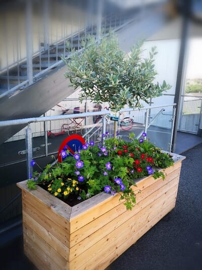 Stor isolert blomsterkasse 150x50x60cm LBH sibirsk lerk plantekasse blomsterkasse blomsterkasser uterom sameie borettslag kommune bymiljø blomsterkass