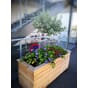 Stor isolert blomsterkasse 150x50x60cm LBH sibirsk lerk plantekasse blomsterkasse blomsterkasser uterom sameie borettslag kommune bymiljø blomsterkass