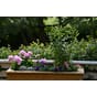 Store isolerte blomsterkasser plantekasser med hjul blomsterkasse blomsterkasseriet blomster planter frostsikker terrasse platting plantekasse 2.jpg
