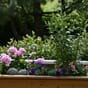 Store isolerte blomsterkasser plantekasser med hjul blomsterkasse blomsterkasseriet blomster planter frostsikker terrasse platting plantekasse 22.jpg