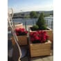 Store isolerte blomsterkasser sibirsk lerk takterrasse blomsterkasseriet plantekasser plantekasse rododendron kjeglegra tuja terrasse.jpg
