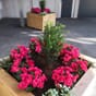 Store isolerte plantekasser i sibirsk lerk vedlikeholdsfri blomsterkasser blomsterkasse plantekasse sameie kommune uterom takterrasse fellesareal.jpg