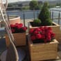Store kvadratiske firkantede blomsterkasser plantekasser sibirsk lerk blomsterkasse blomsterkasseriet takterrasse sameie kommune bymiljø vintergrønt.j