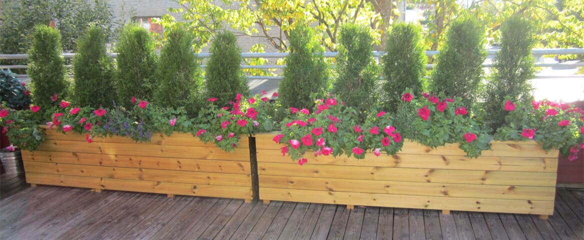 Takterrasse. Isolerte blomsterkasser impregnert furu Blomsterkasseriet plantekasser terrasse uterom tuja hekk.jpg