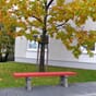 Canetti barnebenk benk benker barnehage skole kommune bymiljø lekeplass idrettslag uterom utemiljø rød grå.jpg