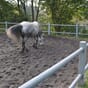 Hestegjerde paddock rail hesteinnhengning gjerde beite hest ponny landbruk ridesenter grå vedlikeholdsfritt kopi.jpg