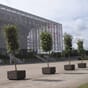 Iberis blomsterkasse plantekasse plantekasser blomsterkasser resirkulert plast Hahn Blomsterkasseriet kopi_1.jpg