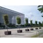 Iberis blomsterkasser store plantekasser plantekasse solid bymiljø uterom park gate sameie blomsterkasseriet.jpg