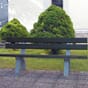 Piccadilly benk benker parkbenk utebenk hagebenk blomsterkasseriet turbenk sort fargerik kopi.jpg