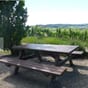 Serengeti piknikkbenk vedlikeholdsfri rastebenk campingplass turbenk.jpg