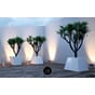 Design Arco laubo plantekrukke blomsterkasse designkasse plantekasse blomsterkasseriet uterom innerom moderne lakkerte 4.jpg