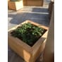 Stor isolert blomsterkasse 70x70x60cm LBH takterrasse plantekasse plantekasser jordbær blomsterkasseriet.jpg